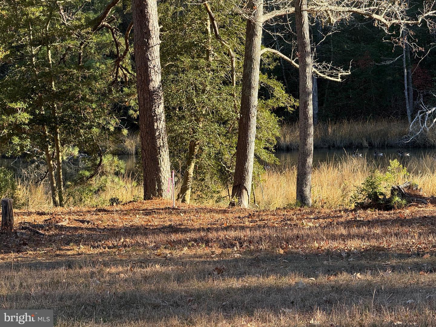 TBD LOT 28 SOUTH GLEBE RD, MONTROSS, Virginia 22520, 3 Bedrooms Bedrooms, ,2 BathroomsBathrooms,Residential,For sale,TBD LOT 28 SOUTH GLEBE RD,VAWE2010232 MLS # VAWE2010232 TBD LOT 28 SOUTH GLEBE RD, MONTROSS, Virginia 22520, 3 Bedrooms Bedrooms, ,2 BathroomsBathrooms,Residential,For sale,TBD LOT 28 SOUTH GLEBE RD,VAWE2010232 MLS # VAWE2010232