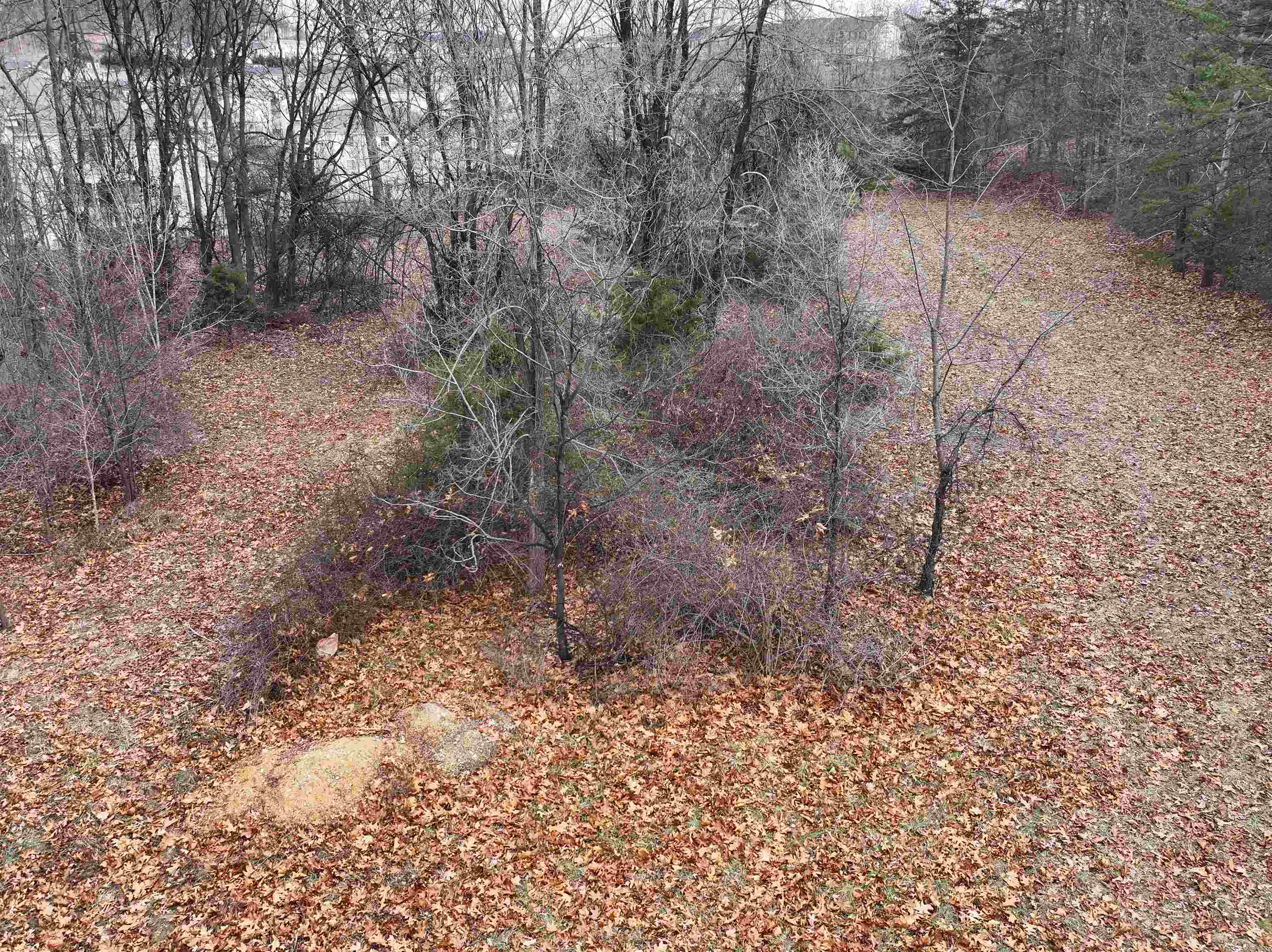 2567 RESERVOIR ST, HARRISONBURG, Virginia 22801, ,Commercial,2567 RESERVOIR ST,672091 MLS # 672091