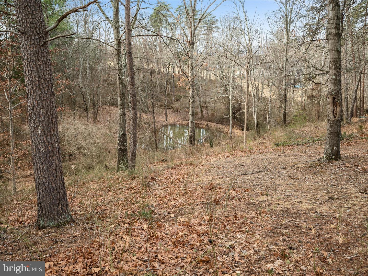 355 FISHEL RD, WINCHESTER, Virginia 22602, 3 Bedrooms Bedrooms, ,3 BathroomsBathrooms,Residential,For sale,355 FISHEL RD,VAFV2024662 MLS # VAFV2024662