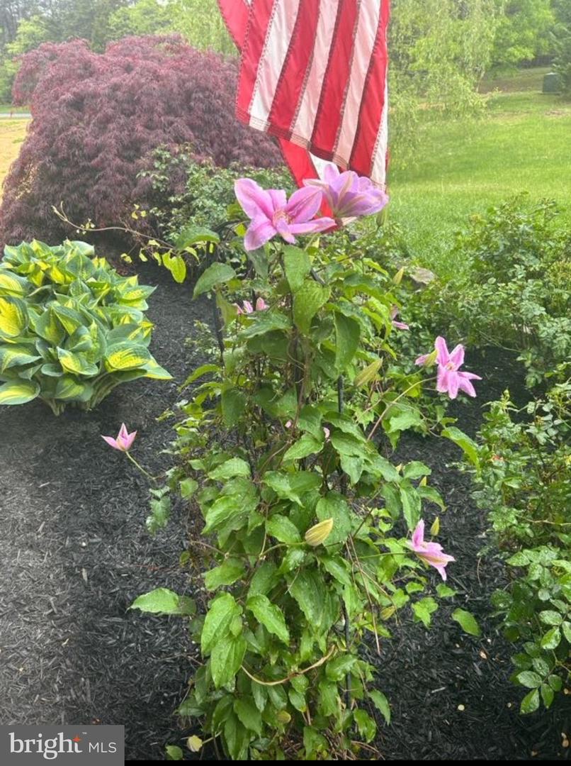 355 FISHEL RD, WINCHESTER, Virginia 22602, 3 Bedrooms Bedrooms, ,3 BathroomsBathrooms,Residential,For sale,355 FISHEL RD,VAFV2024662 MLS # VAFV2024662