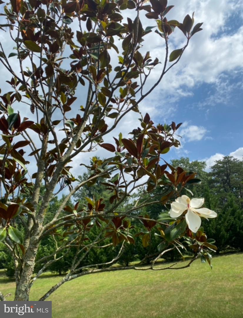 355 FISHEL RD, WINCHESTER, Virginia 22602, 3 Bedrooms Bedrooms, ,3 BathroomsBathrooms,Residential,For sale,355 FISHEL RD,VAFV2024662 MLS # VAFV2024662