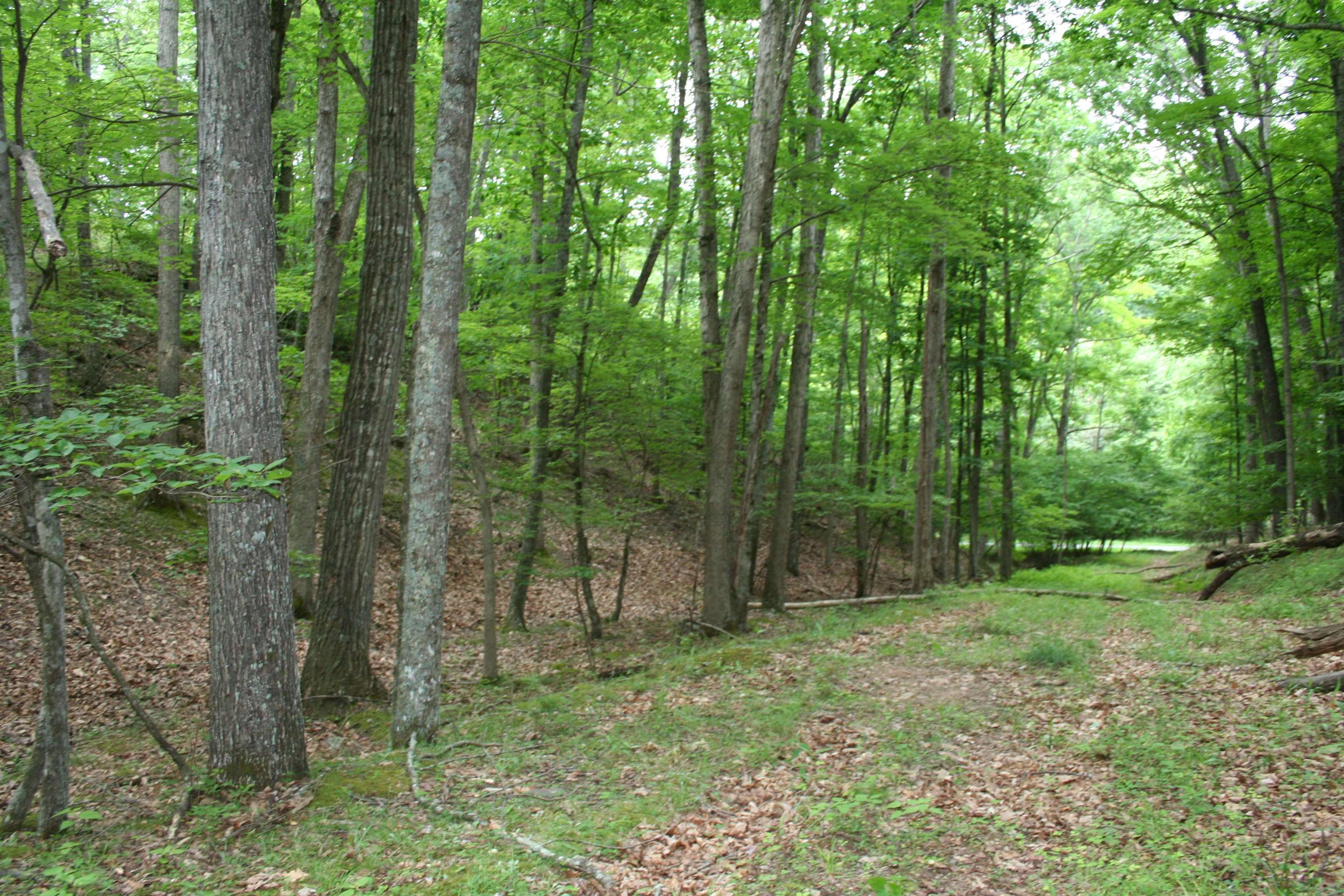 20 HIGH VALLEY SOUTH, MONTEREY, Virginia 24465, ,Land,lot 20 V,20 HIGH VALLEY SOUTH,639234 MLS # 639234 20 HIGH VALLEY SOUTH, MONTEREY, Virginia 24465, ,Land,lot 20 V,20 HIGH VALLEY SOUTH,639234 MLS # 639234