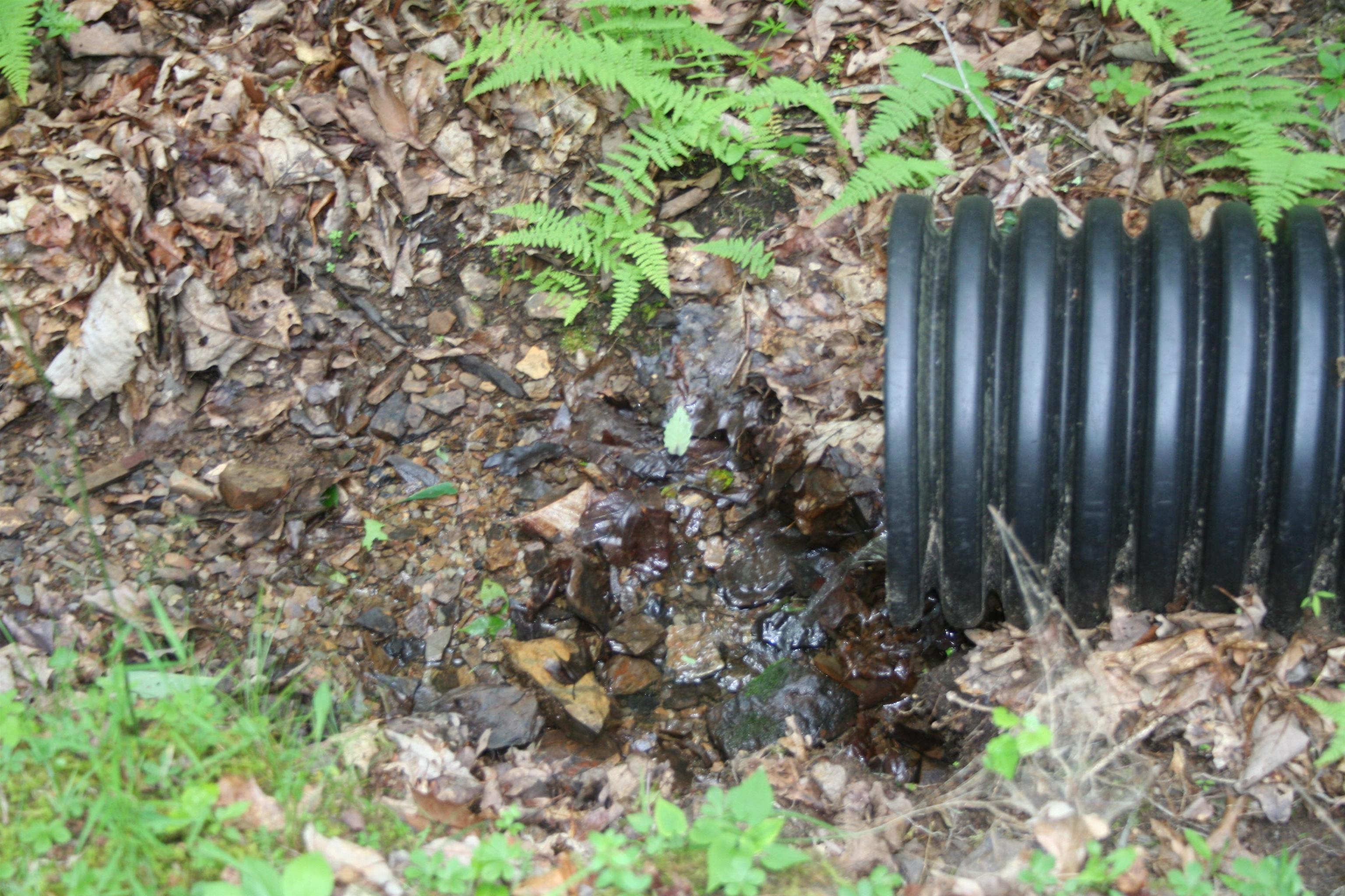 20 HIGH VALLEY SOUTH, MONTEREY, Virginia 24465, ,Land,lot 20 V,20 HIGH VALLEY SOUTH,639234 MLS # 639234 20 HIGH VALLEY SOUTH, MONTEREY, Virginia 24465, ,Land,lot 20 V,20 HIGH VALLEY SOUTH,639234 MLS # 639234