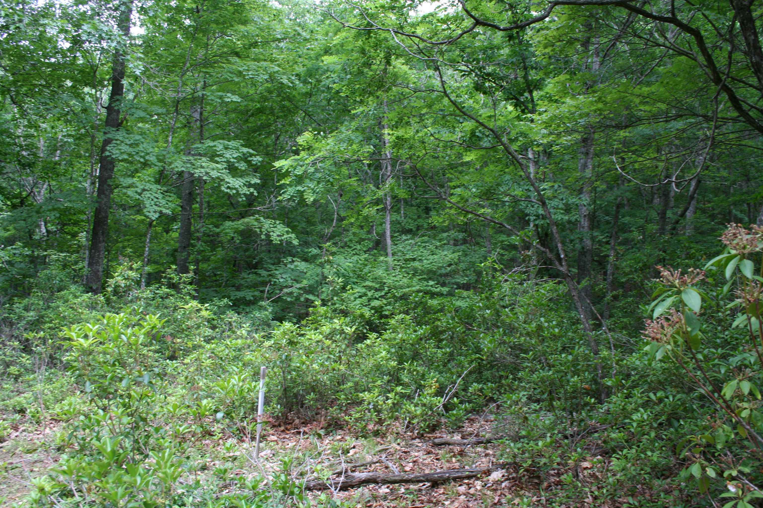 20 HIGH VALLEY SOUTH, MONTEREY, Virginia 24465, ,Land,lot 20 V,20 HIGH VALLEY SOUTH,639234 MLS # 639234 20 HIGH VALLEY SOUTH, MONTEREY, Virginia 24465, ,Land,lot 20 V,20 HIGH VALLEY SOUTH,639234 MLS # 639234