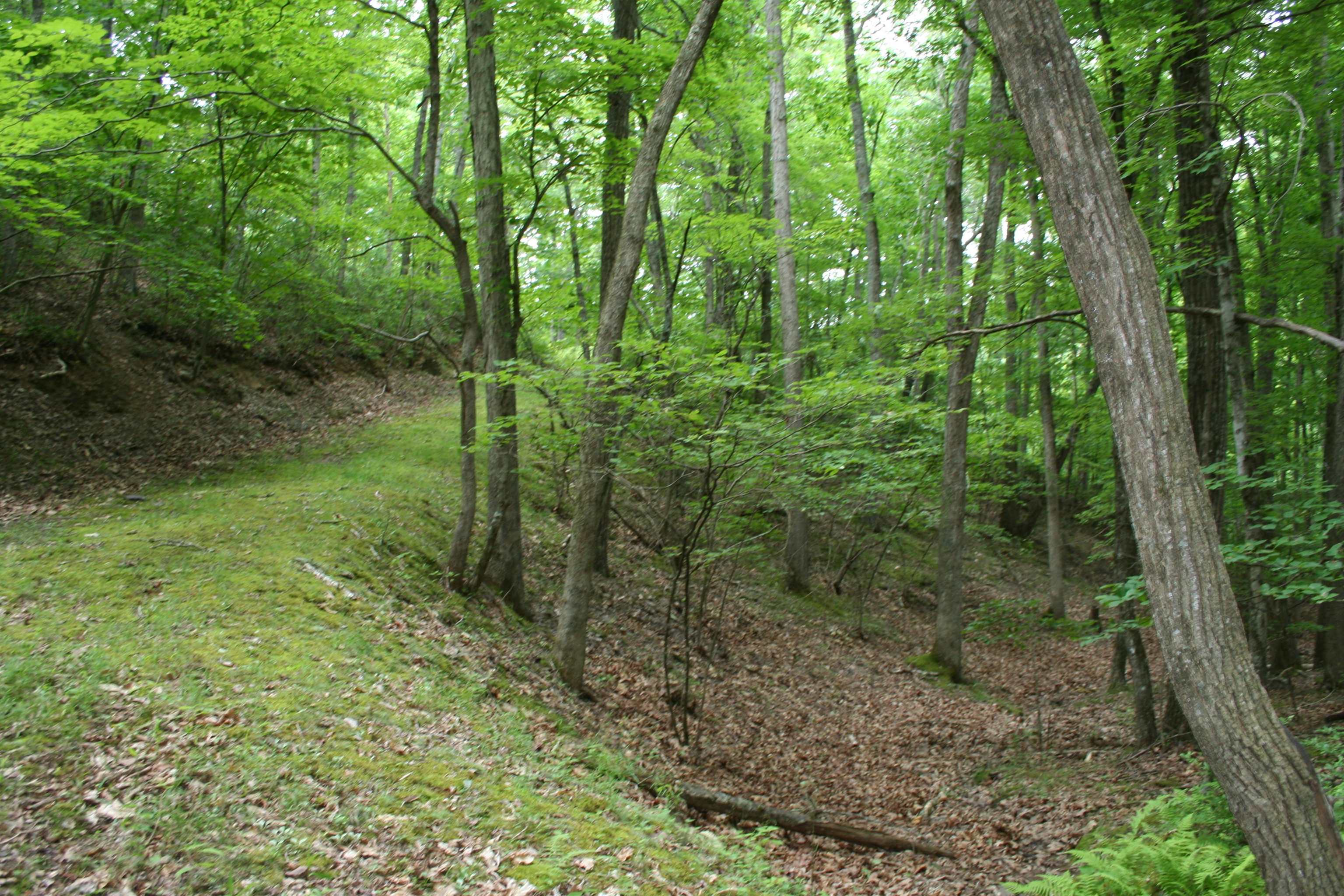 20 HIGH VALLEY SOUTH, MONTEREY, Virginia 24465, ,Land,lot 20 V,20 HIGH VALLEY SOUTH,639234 MLS # 639234 20 HIGH VALLEY SOUTH, MONTEREY, Virginia 24465, ,Land,lot 20 V,20 HIGH VALLEY SOUTH,639234 MLS # 639234