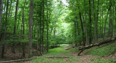 20 HIGH VALLEY SOUTH, MONTEREY, Virginia 24465, ,Land,lot 20 V,20 HIGH VALLEY SOUTH,639234 MLS # 639234