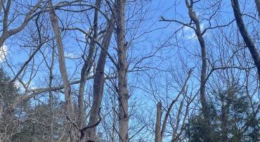 TBD WALKER CREEK RD, MIDDLEBROOK, Virginia 24459, ,Land,TBD WALKER CREEK RD,671989 MLS # 671989