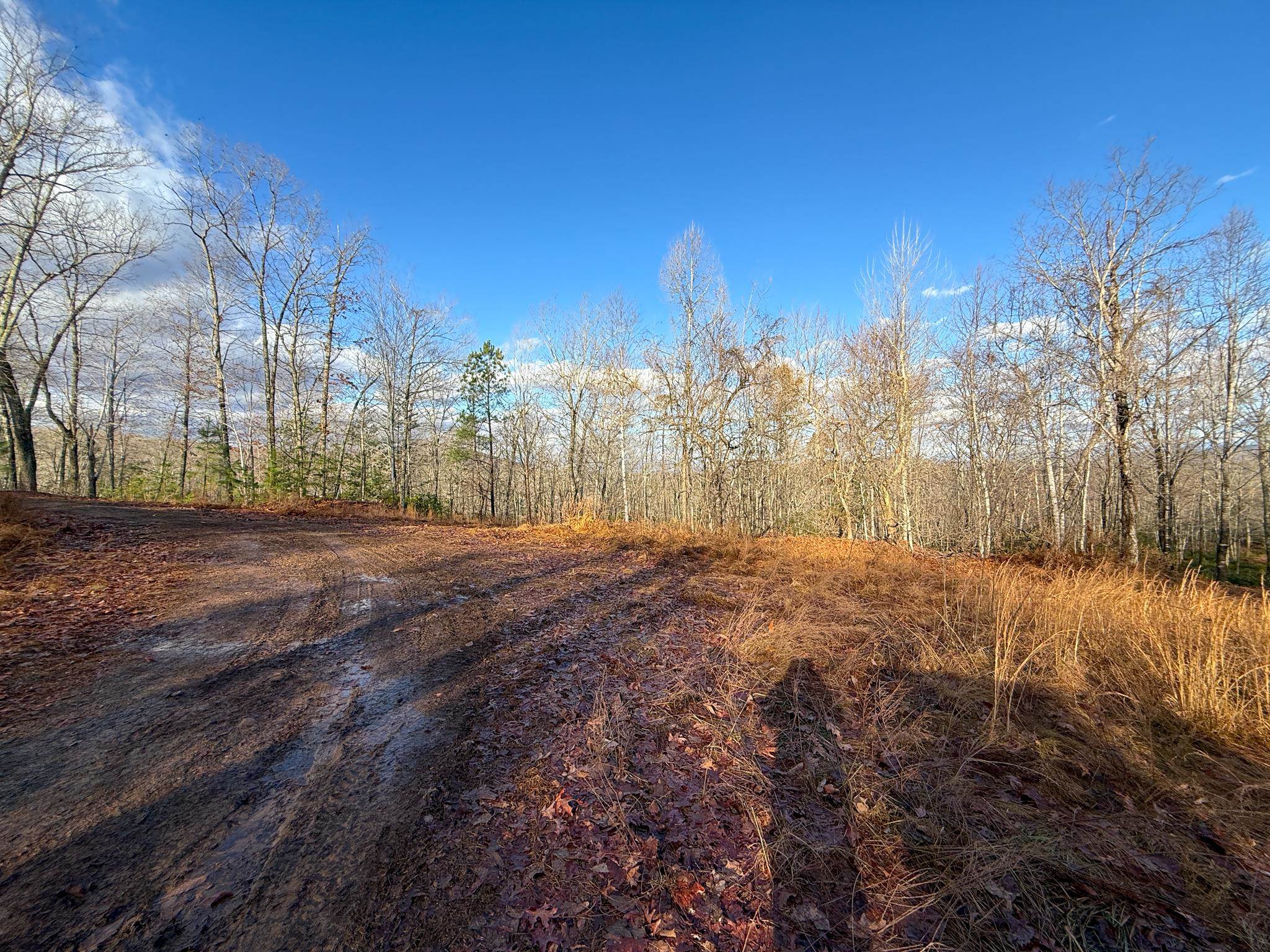 TBD JOHNSON HOLLOW, SCHUYLER, Virginia 22969, ,Farm,TBD JOHNSON HOLLOW,672003 MLS # 672003