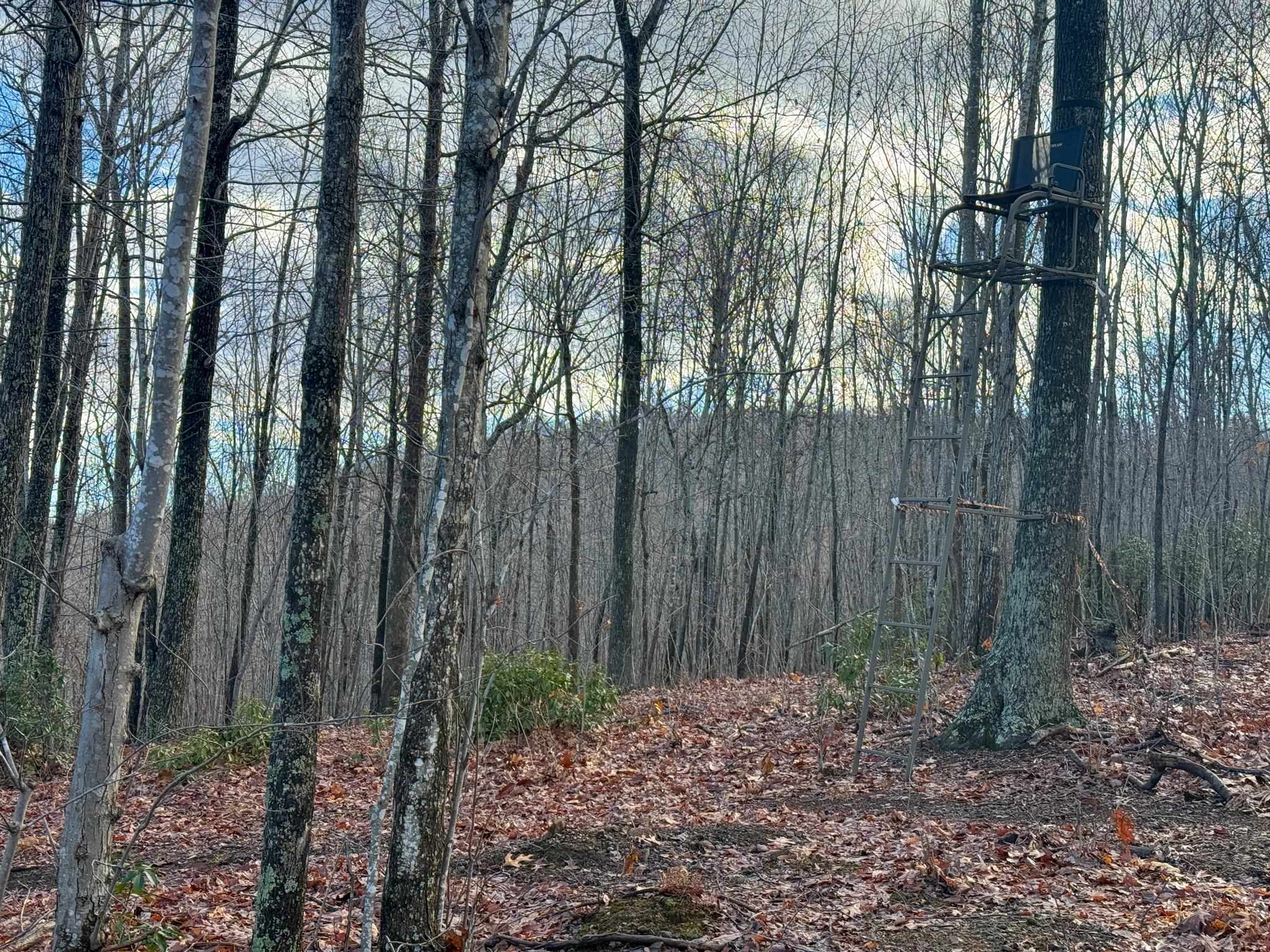 TBD JOHNSON HOLLOW, SCHUYLER, Virginia 22969, ,Farm,TBD JOHNSON HOLLOW,672003 MLS # 672003