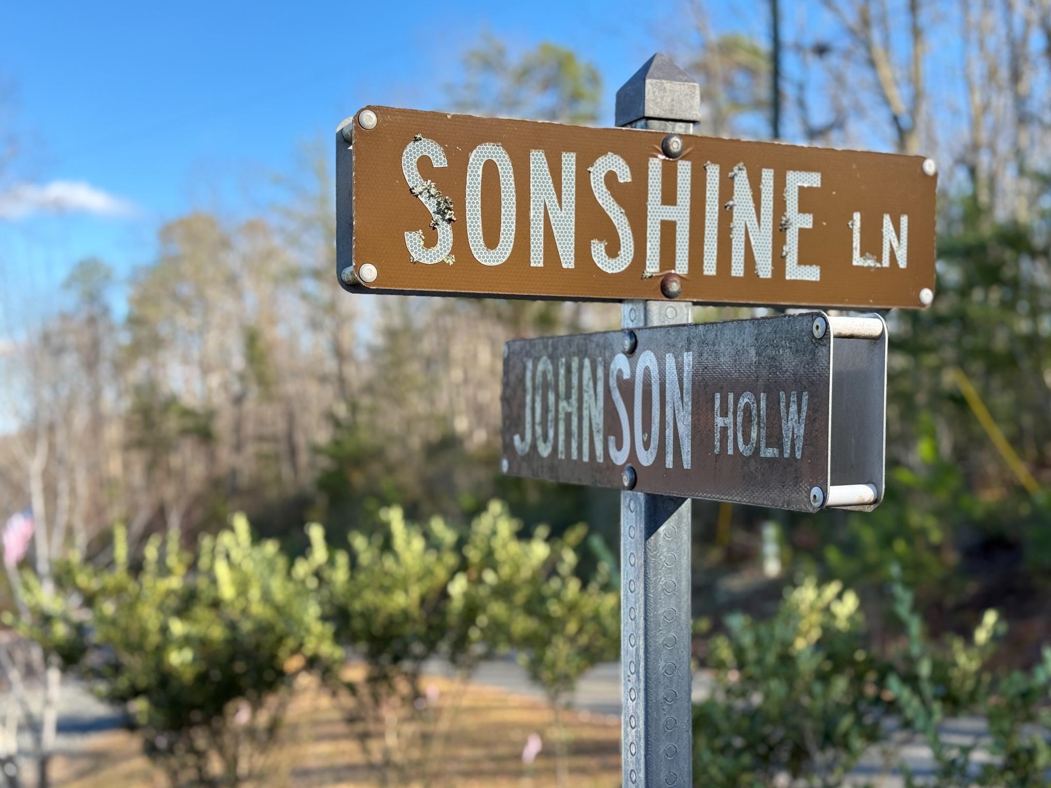 TBD JOHNSON HOLLOW, SCHUYLER, Virginia 22969, ,Farm,TBD JOHNSON HOLLOW,672003 MLS # 672003