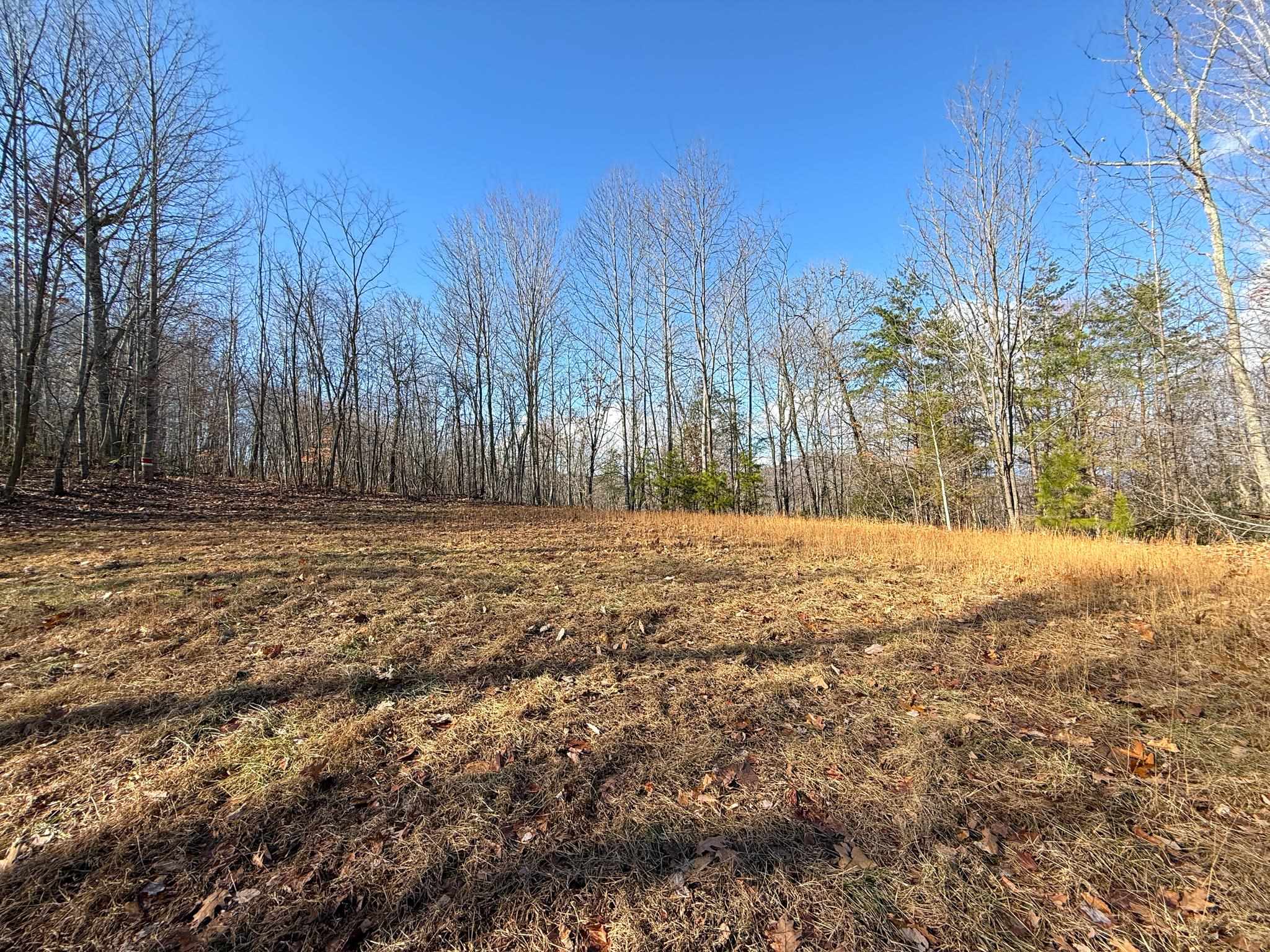 TBD JOHNSON HOLLOW, SCHUYLER, Virginia 22969, ,Farm,TBD JOHNSON HOLLOW,672003 MLS # 672003