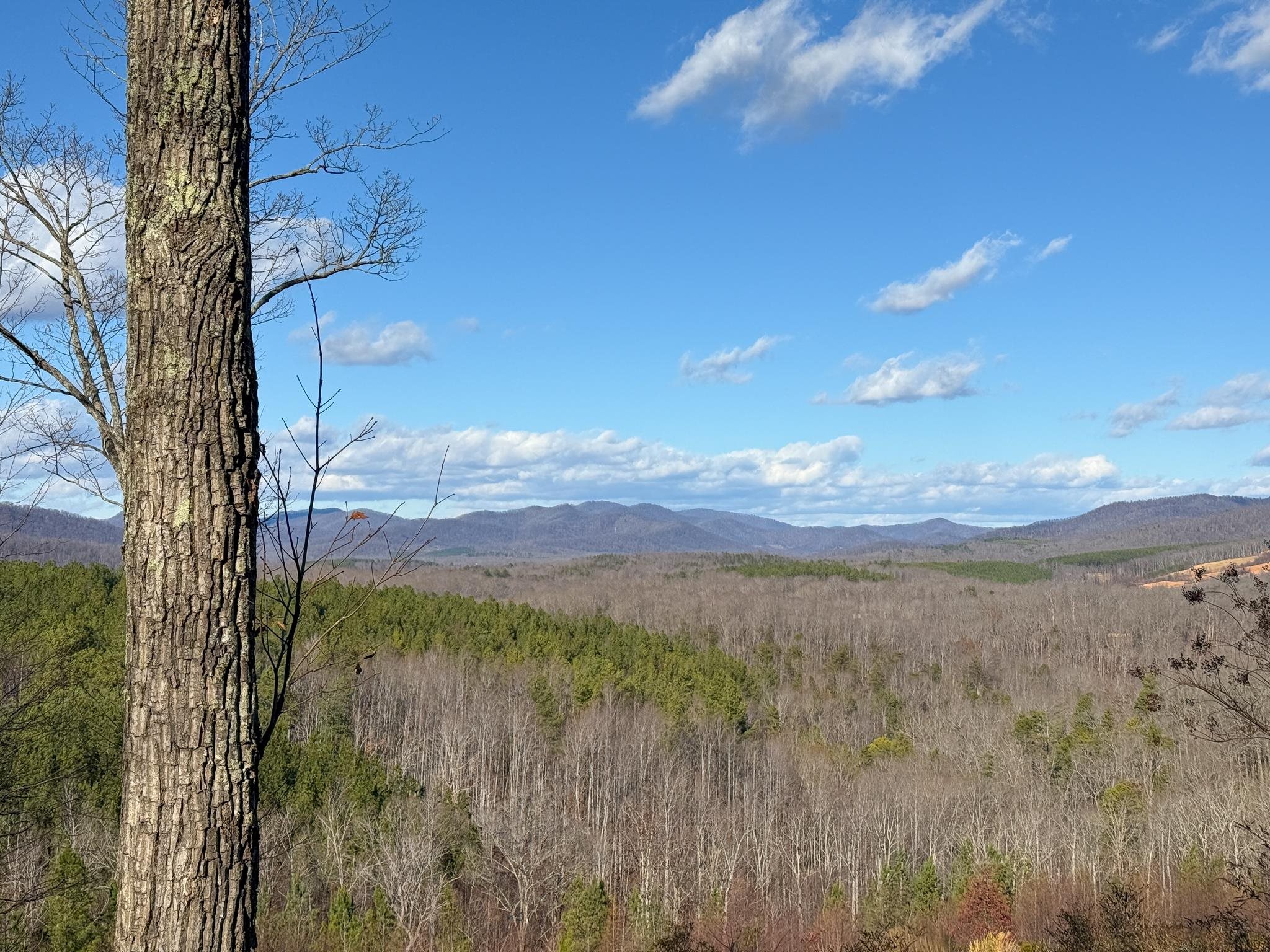 TBD JOHNSON HOLLOW, SCHUYLER, Virginia 22969, ,Farm,TBD JOHNSON HOLLOW,672003 MLS # 672003