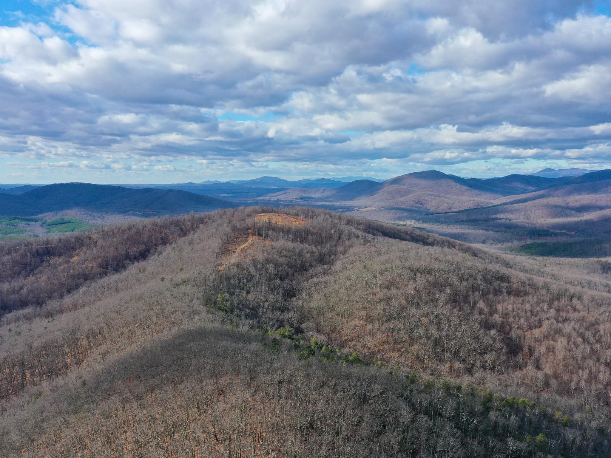 TBD JOHNSON HOLLOW, SCHUYLER, Virginia 22969, ,Farm,TBD JOHNSON HOLLOW,672003 MLS # 672003