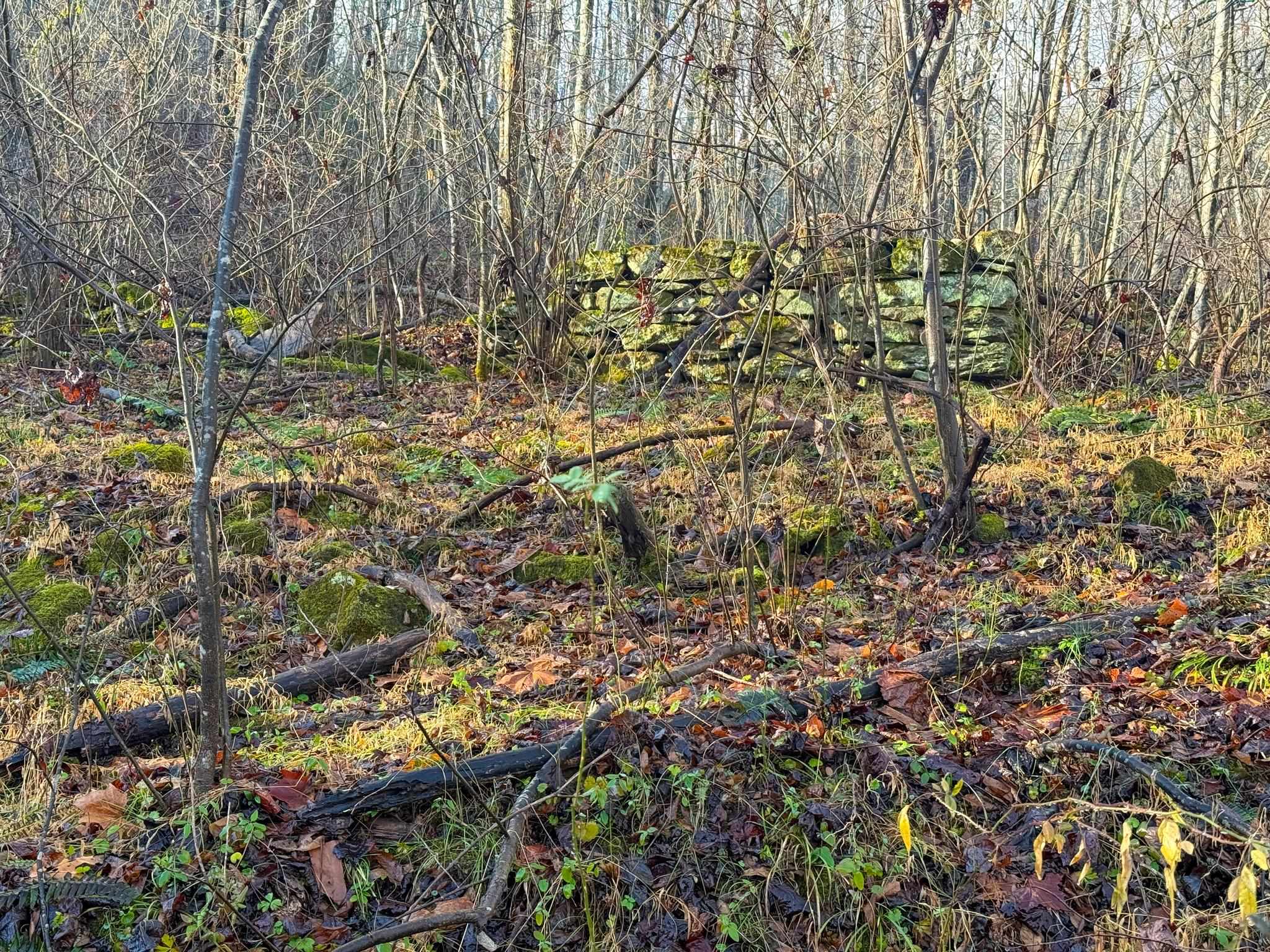 TBD JOHNSON HOLLOW, SCHUYLER, Virginia 22969, ,Farm,TBD JOHNSON HOLLOW,672003 MLS # 672003