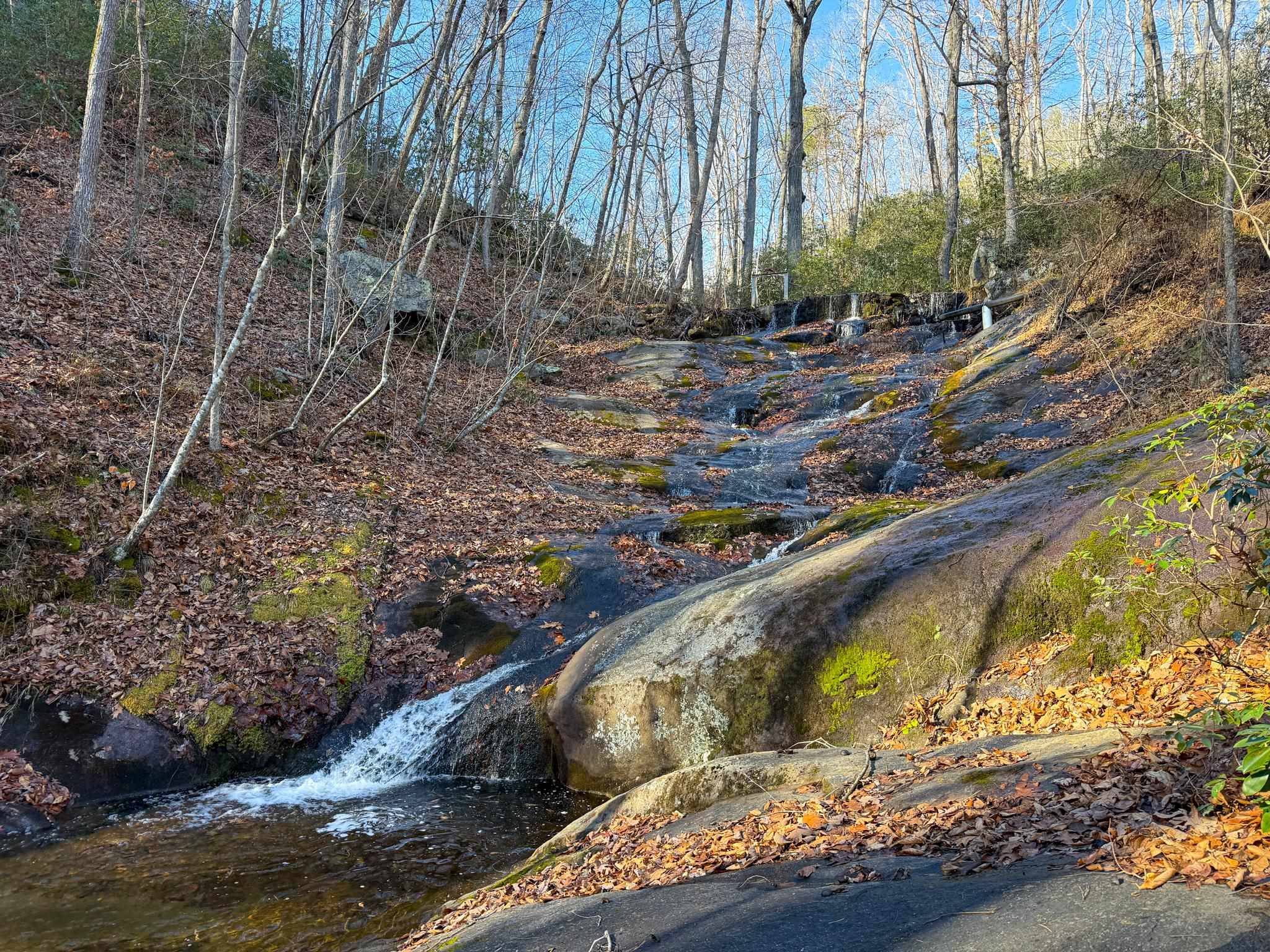 TBD JOHNSON HOLLOW, SCHUYLER, Virginia 22969, ,Farm,TBD JOHNSON HOLLOW,672003 MLS # 672003