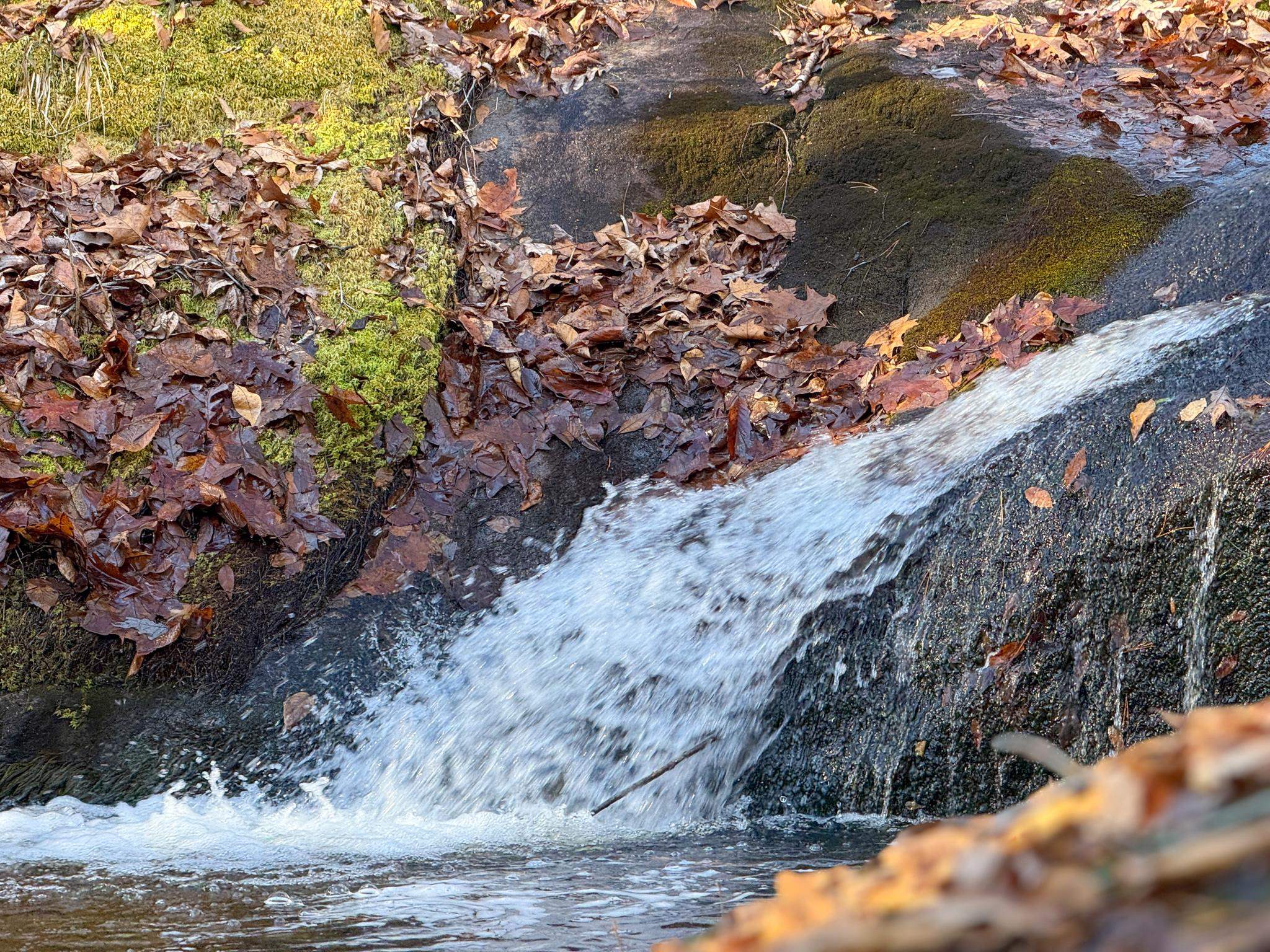 TBD JOHNSON HOLLOW, SCHUYLER, Virginia 22969, ,Farm,TBD JOHNSON HOLLOW,672003 MLS # 672003