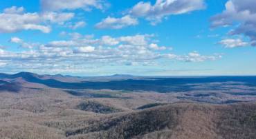 TBD JOHNSON HOLLOW, SCHUYLER, Virginia 22969, ,Farm,TBD JOHNSON HOLLOW,672003 MLS # 672003