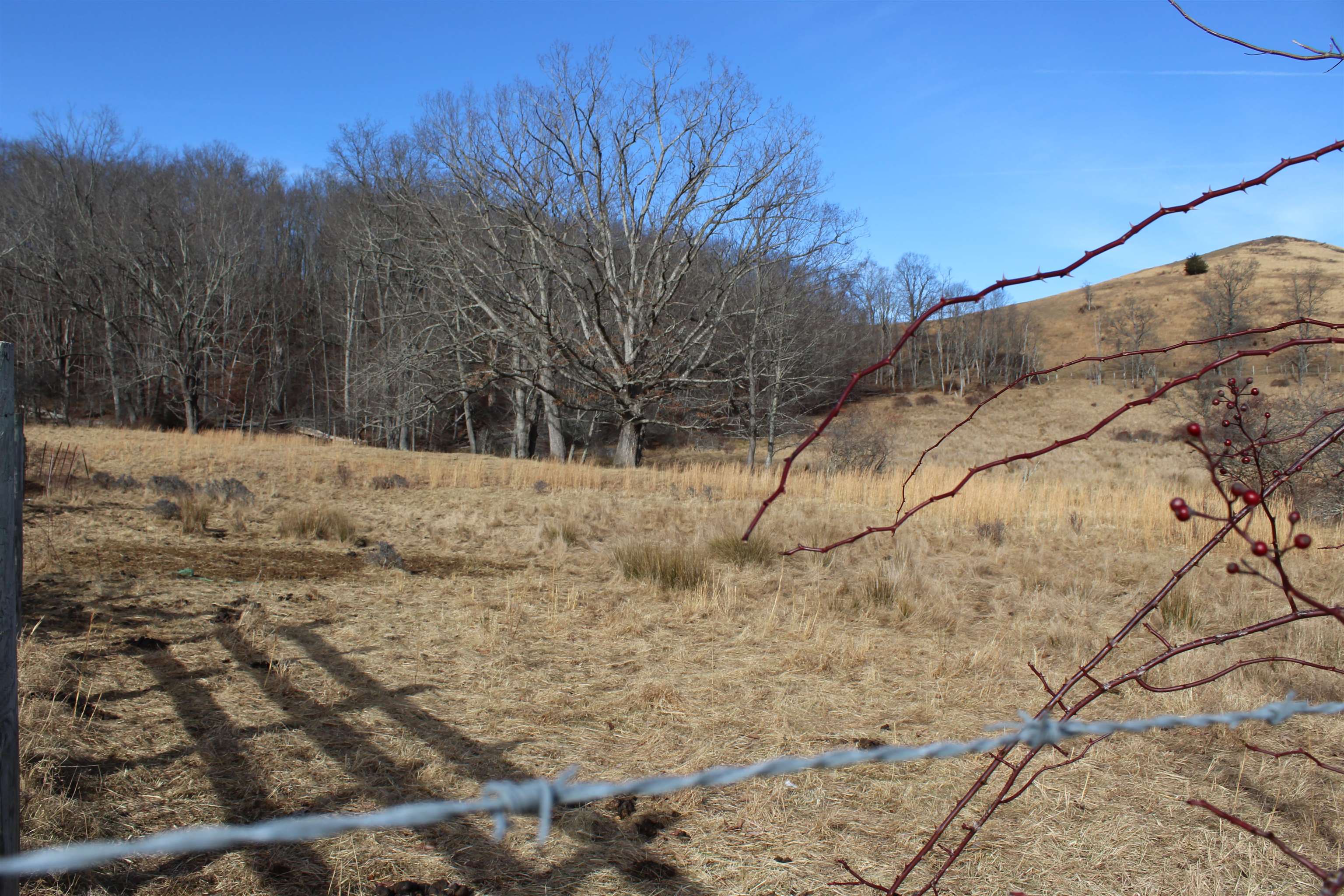 1004 JACKSON RIVER TPKE, MONTEREY, Virginia 24465, ,Land,Yoder,1004 JACKSON RIVER TPKE,672026 MLS # 672026