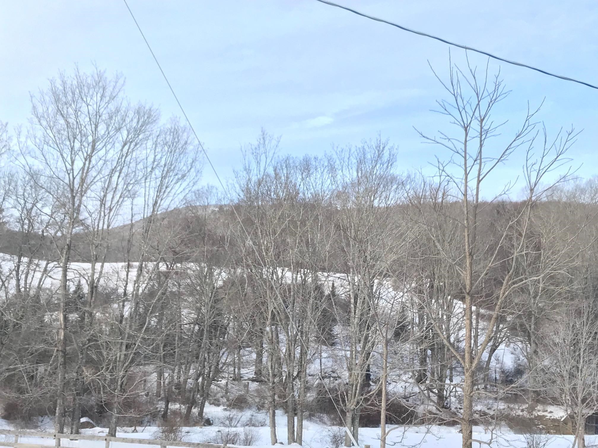 1004 JACKSON RIVER TPKE, MONTEREY, Virginia 24465, ,Land,Yoder,1004 JACKSON RIVER TPKE,672026 MLS # 672026