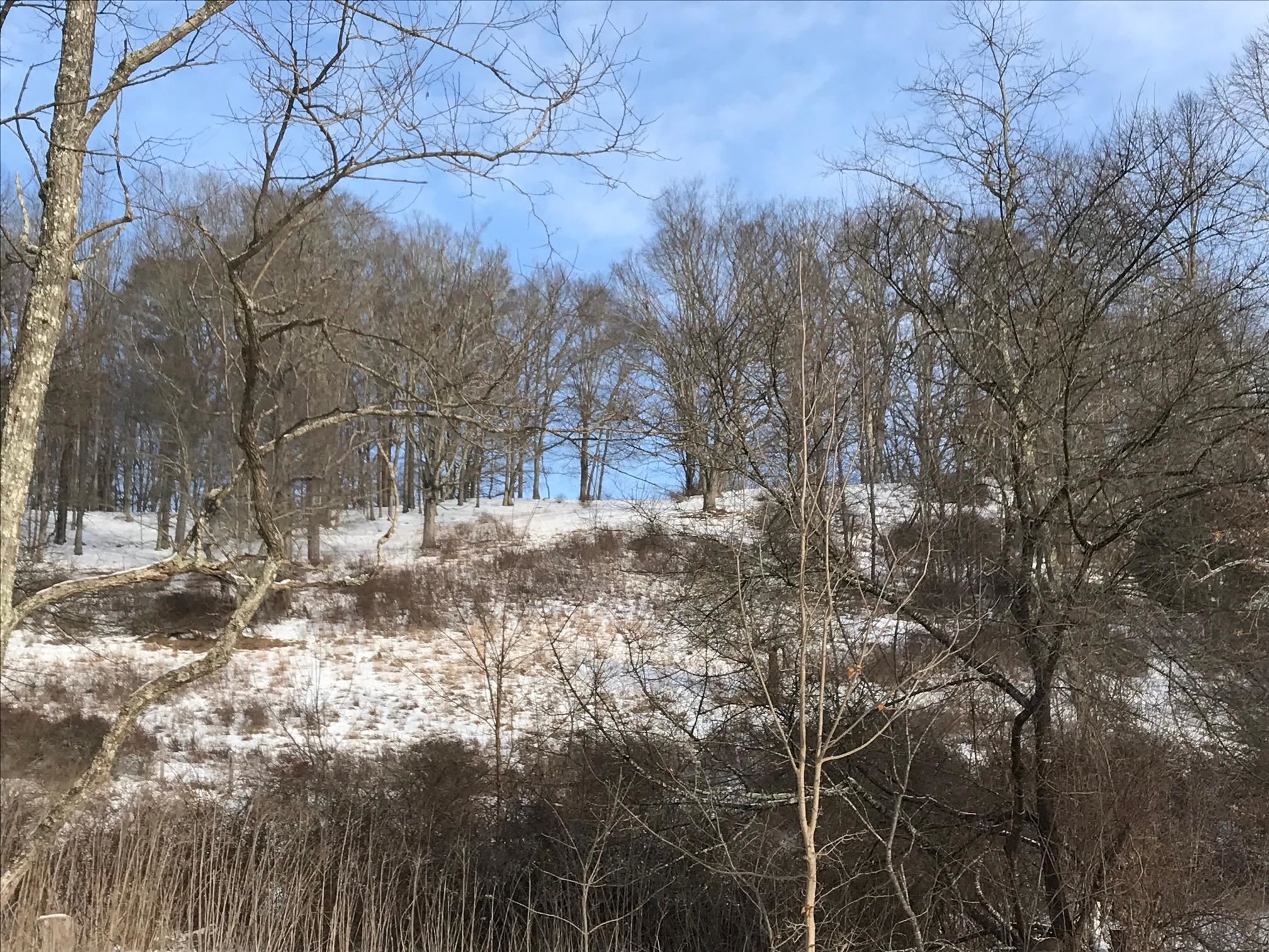 1004 JACKSON RIVER TPKE, MONTEREY, Virginia 24465, ,Land,Yoder,1004 JACKSON RIVER TPKE,672026 MLS # 672026