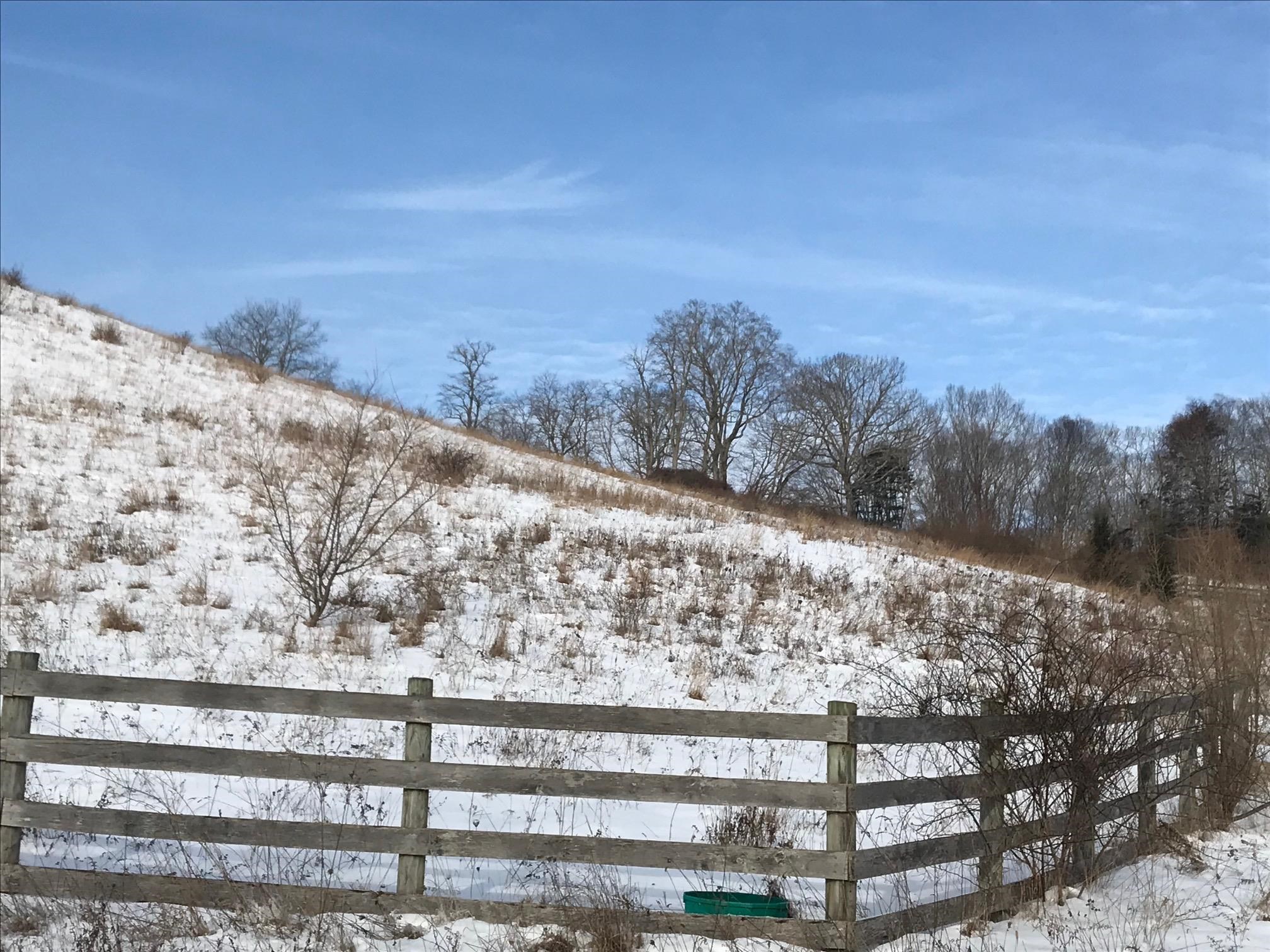 1004 JACKSON RIVER TPKE, MONTEREY, Virginia 24465, ,Land,Yoder,1004 JACKSON RIVER TPKE,672026 MLS # 672026