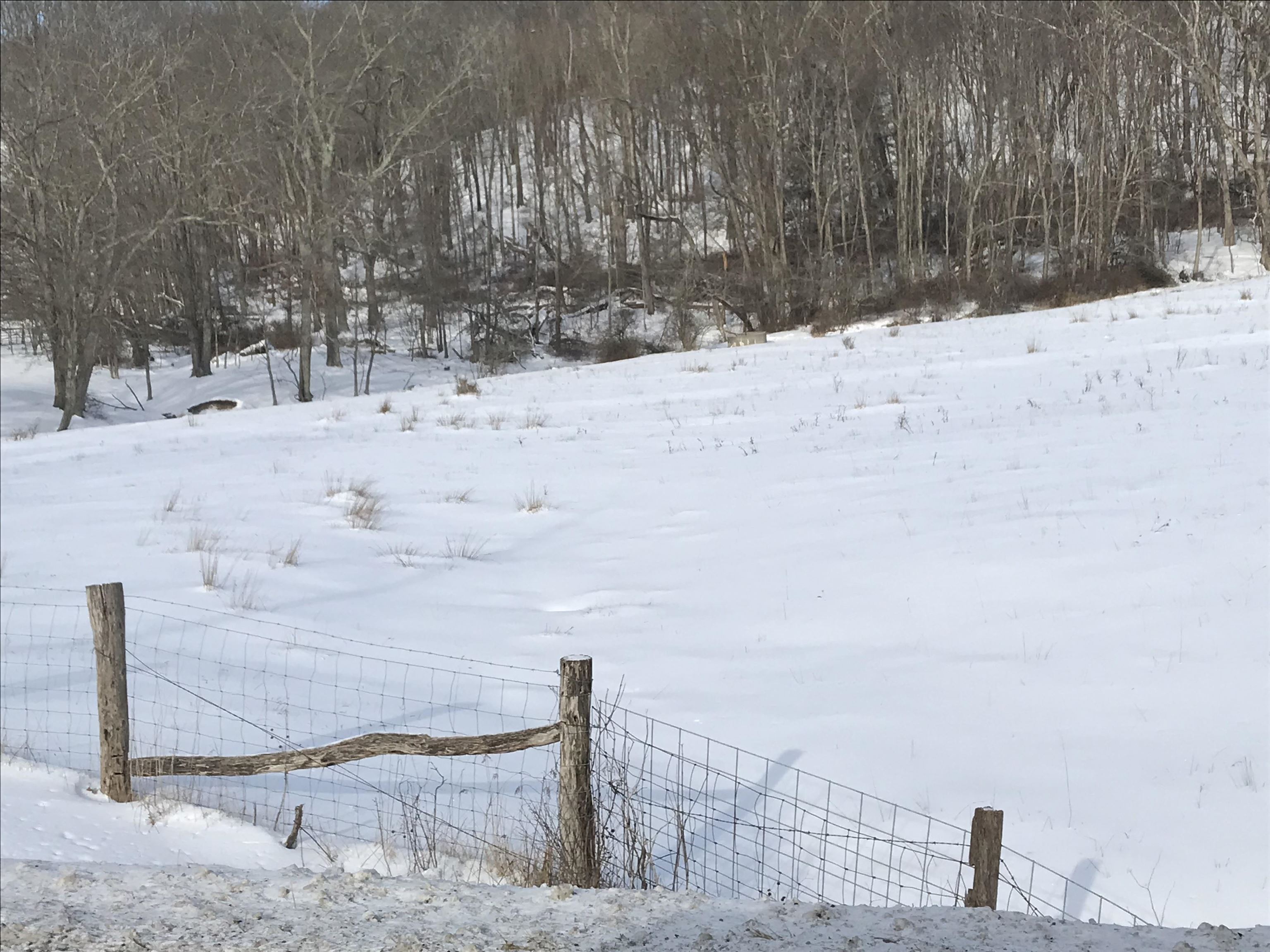 1004 JACKSON RIVER TPKE, MONTEREY, Virginia 24465, ,Land,Yoder,1004 JACKSON RIVER TPKE,672026 MLS # 672026