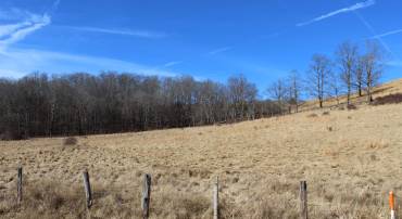 1004 JACKSON RIVER TPKE, MONTEREY, Virginia 24465, ,Land,Yoder,1004 JACKSON RIVER TPKE,672026 MLS # 672026