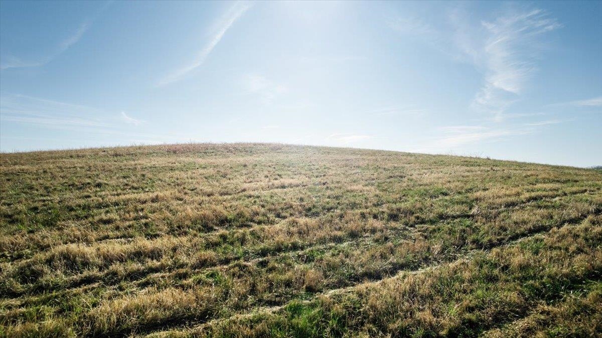 0 ORKNEY GRADE, MOUNT JACKSON, Virginia 22842, ,Land,0 ORKNEY GRADE,672106 MLS # 672106