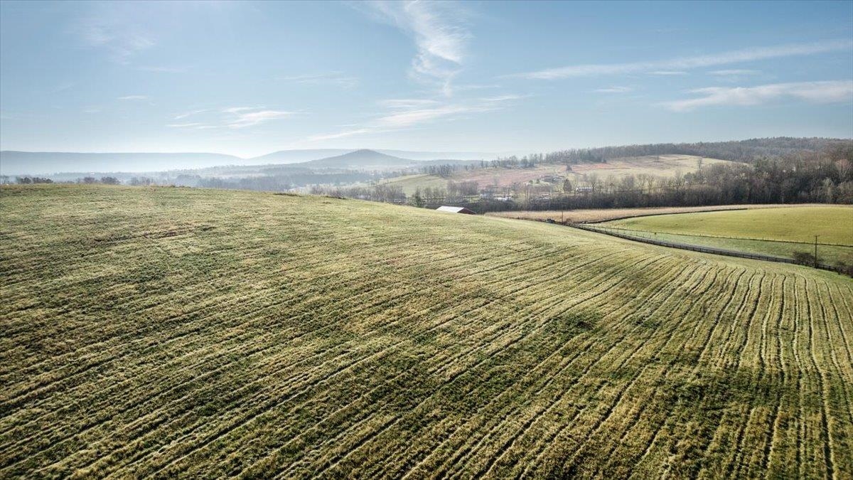 0 ORKNEY GRADE, MOUNT JACKSON, Virginia 22842, ,Land,0 ORKNEY GRADE,672106 MLS # 672106