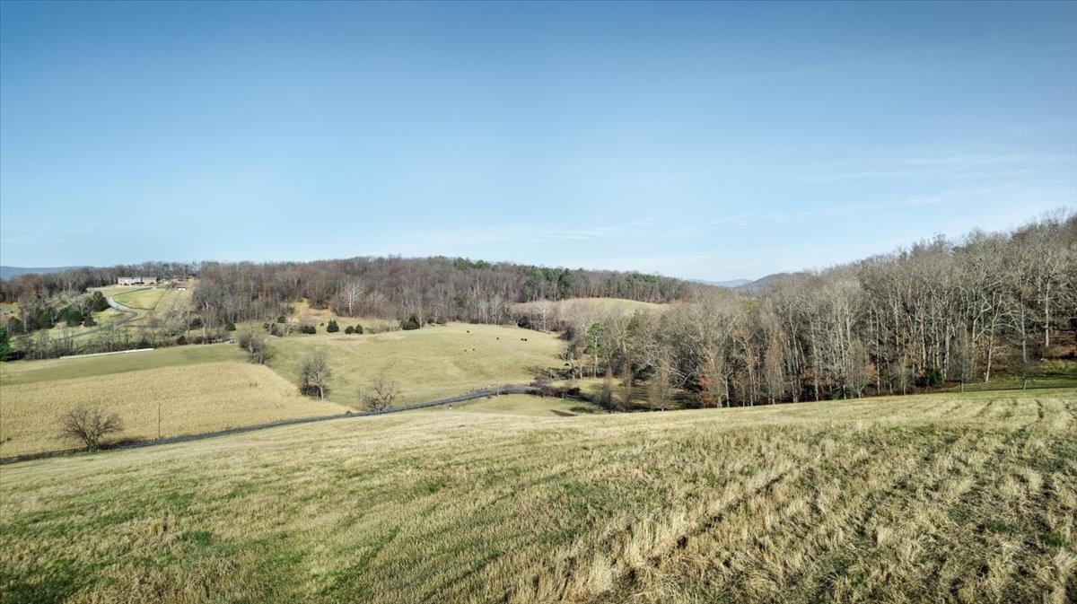 0 ORKNEY GRADE, MOUNT JACKSON, Virginia 22842, ,Land,0 ORKNEY GRADE,672106 MLS # 672106