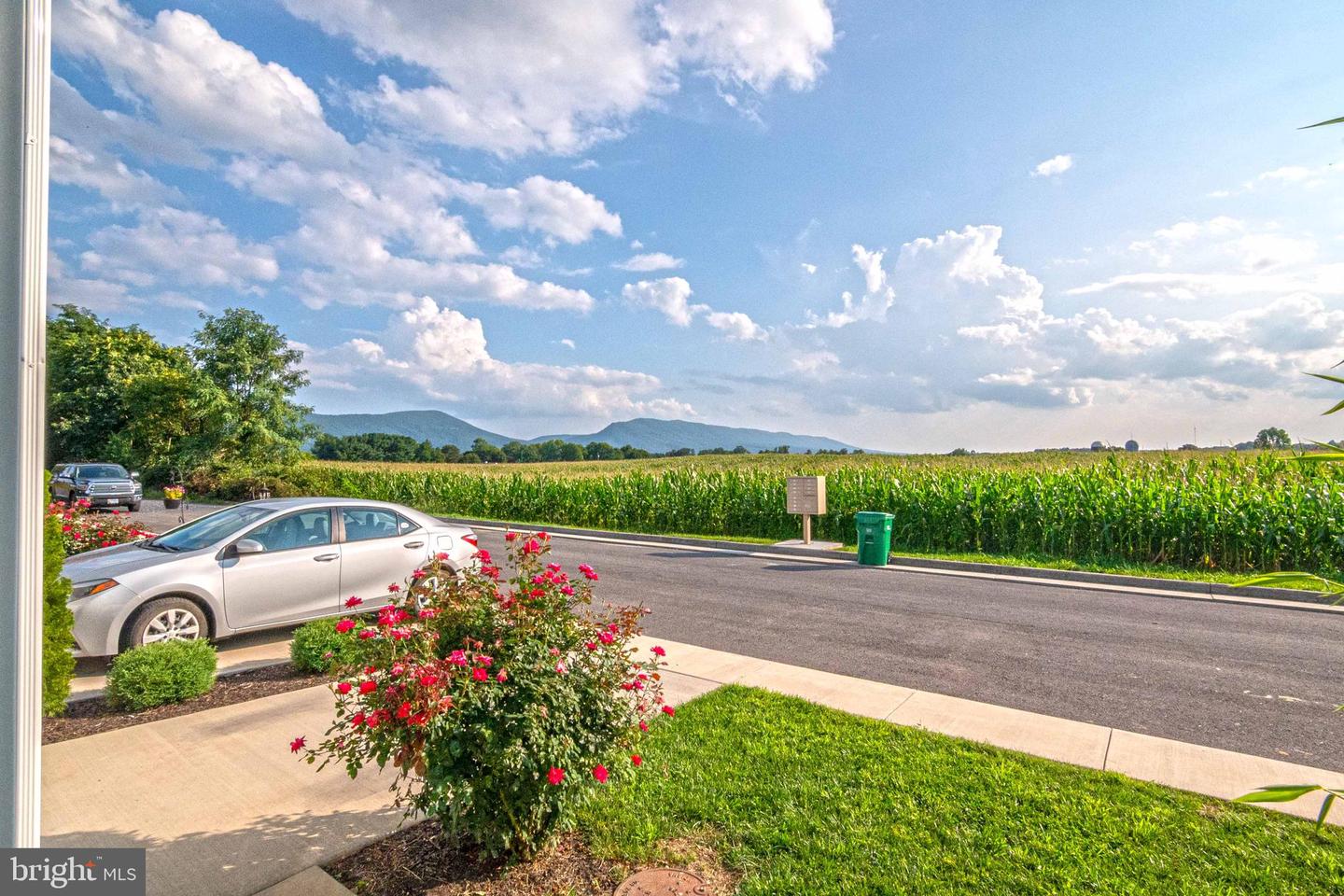 252 PARKSIDE CT, WOODSTOCK, Virginia 22664, 3 Bedrooms Bedrooms, ,2 BathroomsBathrooms,Residential,For sale,252 PARKSIDE CT,VASH2011304 MLS # VASH2011304