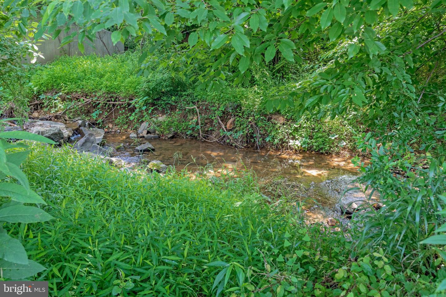 14785 BANKFIELD DR, WATERFORD, Virginia 20197, 4 Bedrooms Bedrooms, ,5 BathroomsBathrooms,Residential,For sale,14785 BANKFIELD DR,VALO2099158 MLS # VALO2099158 14785 BANKFIELD DR, WATERFORD, Virginia 20197, 4 Bedrooms Bedrooms, ,5 BathroomsBathrooms,Residential,For sale,14785 BANKFIELD DR,VALO2099158 MLS # VALO2099158