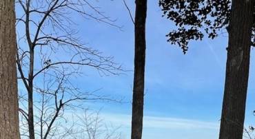 N INDEPENDENCE DRIVE LOT 153, MONTROSS, Virginia 22520, ,Land,For sale,N INDEPENDENCE DRIVE LOT 153,VAWE2010024 MLS # VAWE2010024