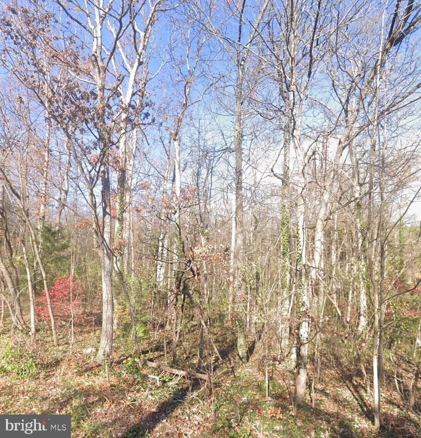 00 LOWER VALLEY RD, STRASBURG, Virginia 22657, ,Land,For sale,00 LOWER VALLEY RD,VAWR2012846 MLS # VAWR2012846