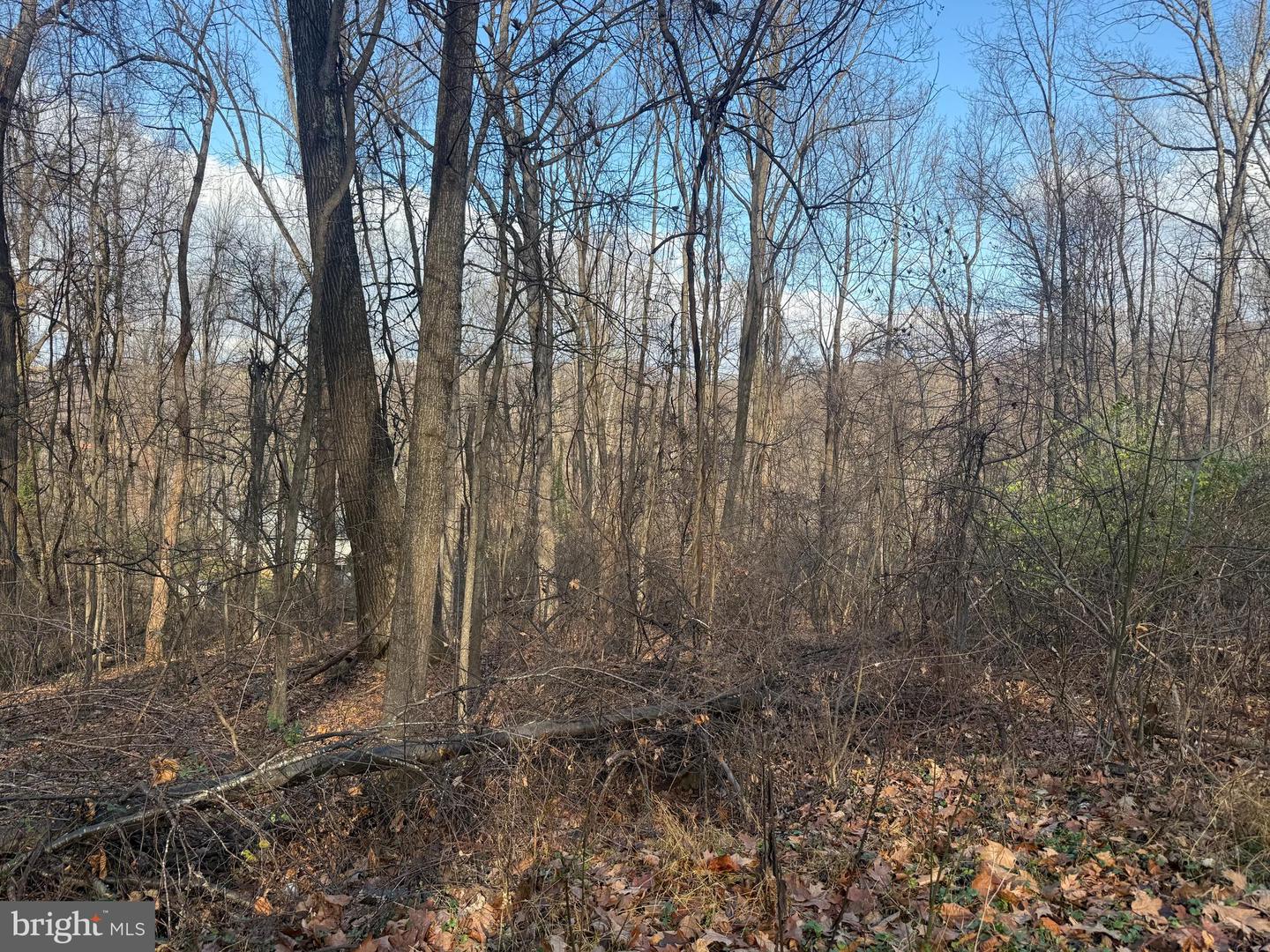 LOT 22 HICKORY TREE RD, FRONT ROYAL, Virginia 22630, ,Land,For sale,LOT 22 HICKORY TREE RD,VAWR2012906 MLS # VAWR2012906