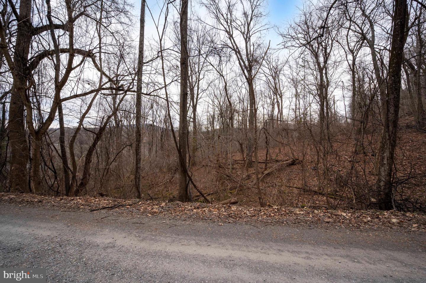 LOT 22 HICKORY TREE RD, FRONT ROYAL, Virginia 22630, ,Land,For sale,LOT 22 HICKORY TREE RD,VAWR2012906 MLS # VAWR2012906