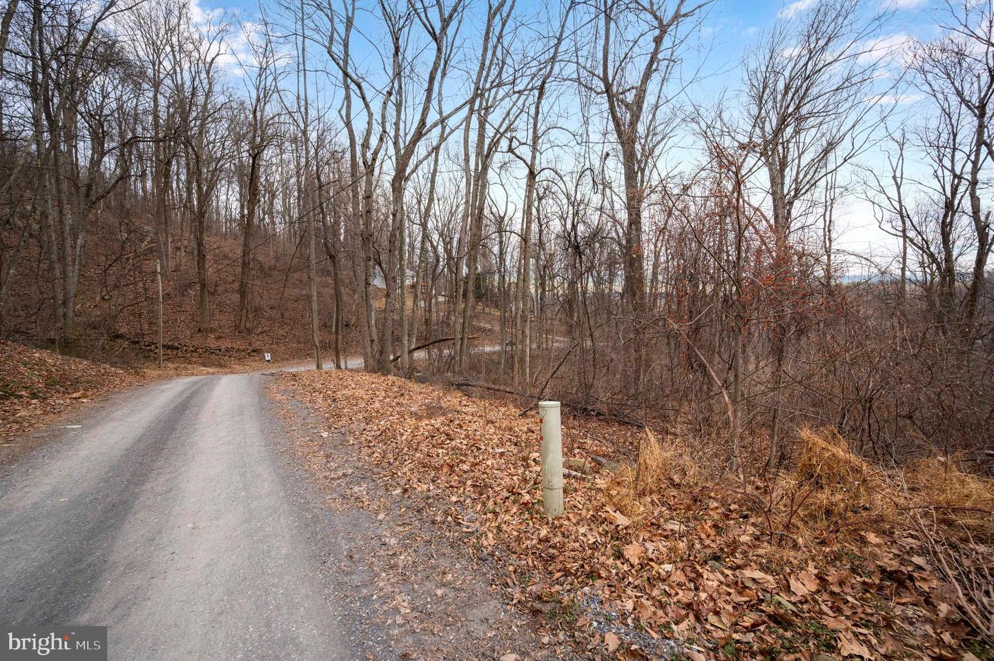 LOT 22 HICKORY TREE RD, FRONT ROYAL, Virginia 22630, ,Land,For sale,LOT 22 HICKORY TREE RD,VAWR2012906 MLS # VAWR2012906