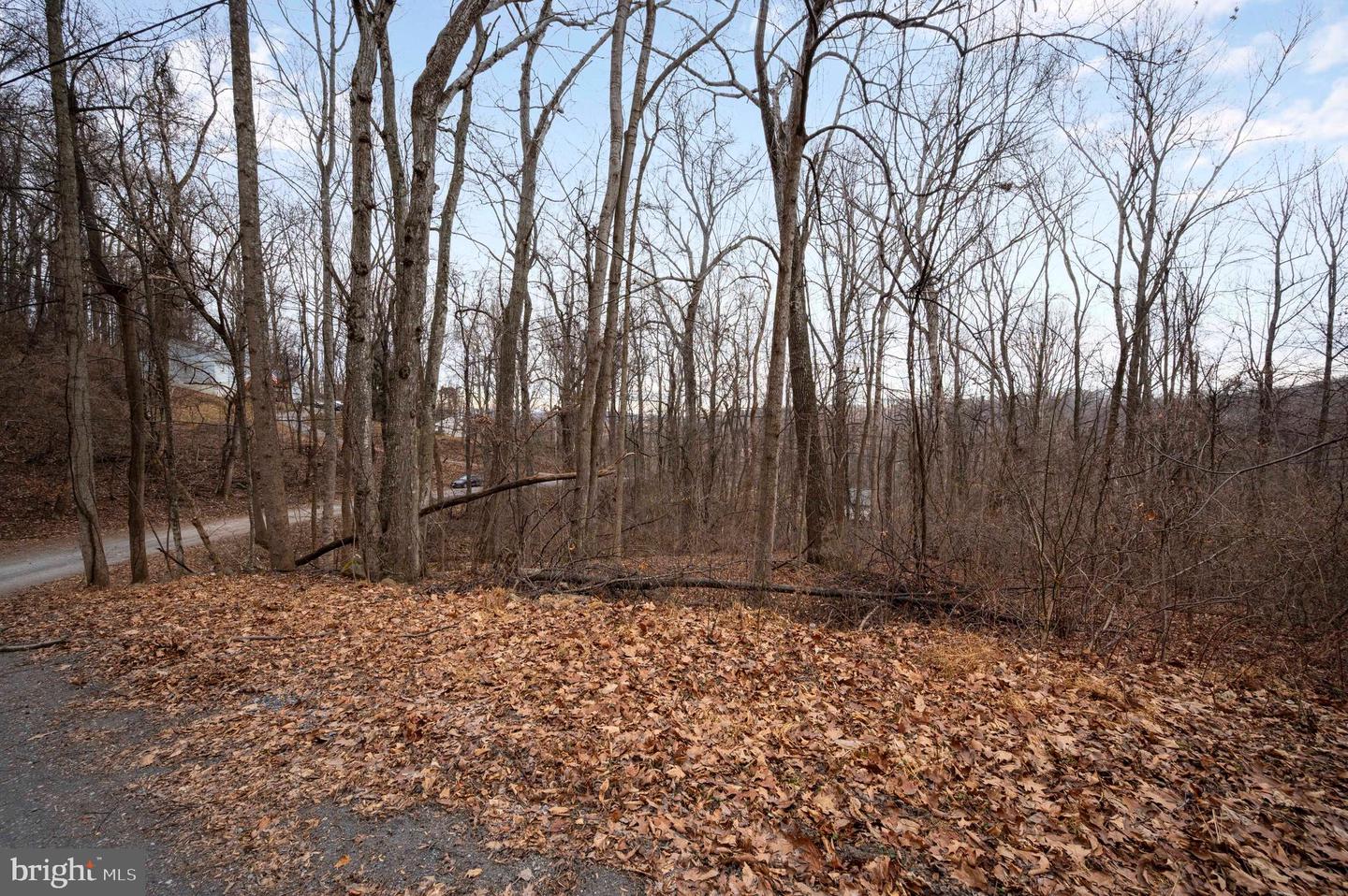 LOT 22 HICKORY TREE RD, FRONT ROYAL, Virginia 22630, ,Land,For sale,LOT 22 HICKORY TREE RD,VAWR2012906 MLS # VAWR2012906