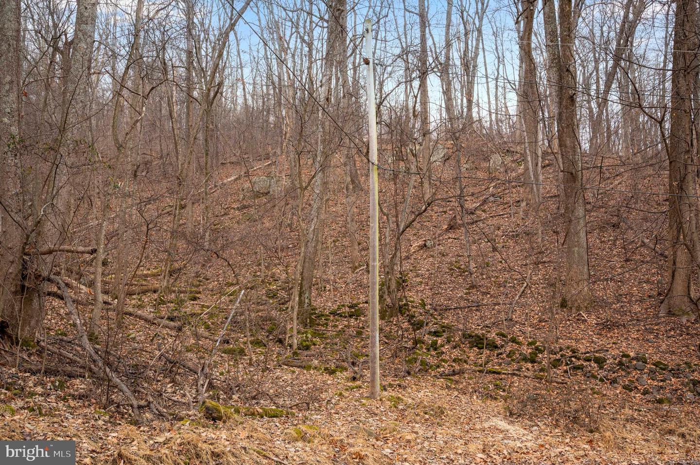 LOT 22 HICKORY TREE RD, FRONT ROYAL, Virginia 22630, ,Land,For sale,LOT 22 HICKORY TREE RD,VAWR2012906 MLS # VAWR2012906