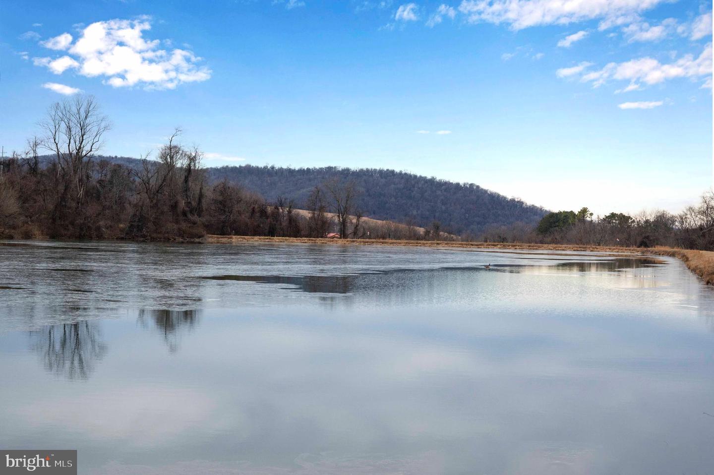 LOT 22 HICKORY TREE RD, FRONT ROYAL, Virginia 22630, ,Land,For sale,LOT 22 HICKORY TREE RD,VAWR2012906 MLS # VAWR2012906