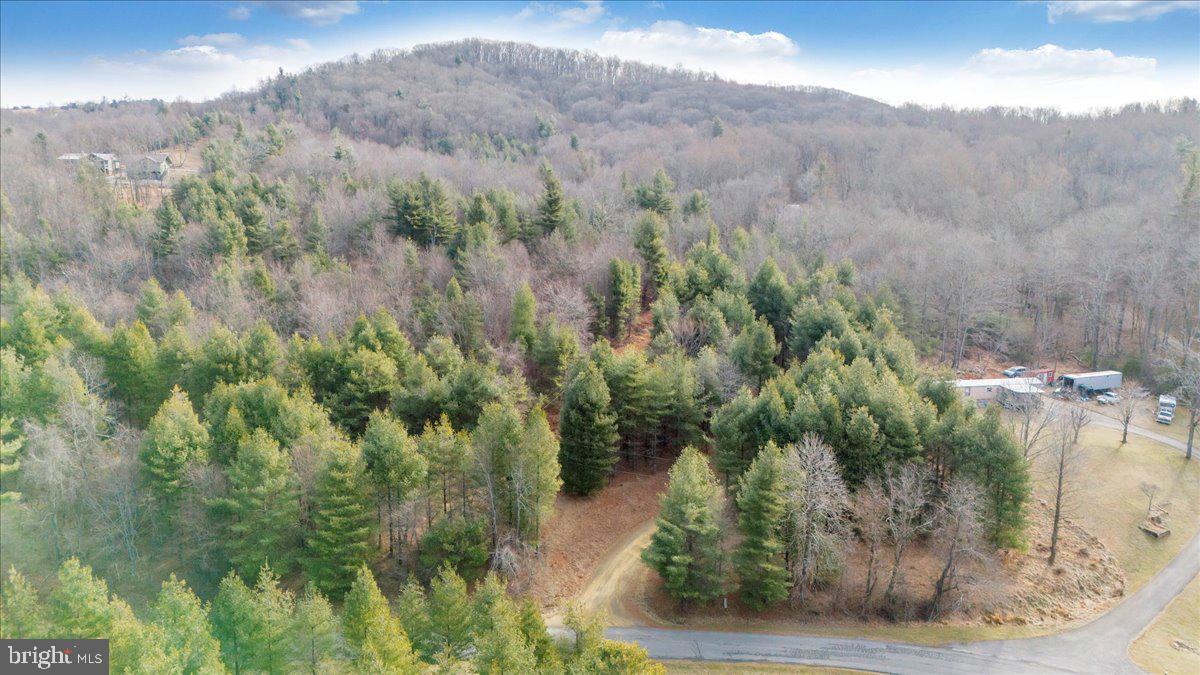 0 FAIRVIEW CHURCH RD SW, FLOYD, Virginia 24091, ,Land,For sale,0 FAIRVIEW CHURCH RD SW,VAFD2000020 MLS # VAFD2000020