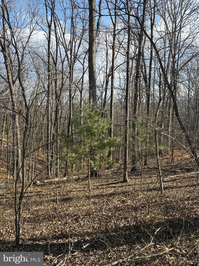 ARROWHEAD RD, FRONT ROYAL, Virginia 22630, ,Land,For sale,ARROWHEAD RD,VAWR2013008 MLS # VAWR2013008