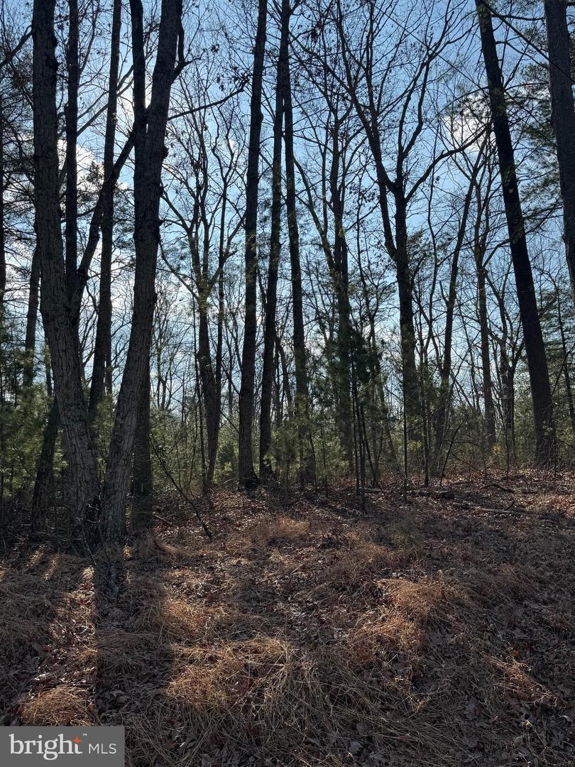 ARROWHEAD RD, FRONT ROYAL, Virginia 22630, ,Land,For sale,ARROWHEAD RD,VAWR2013008 MLS # VAWR2013008