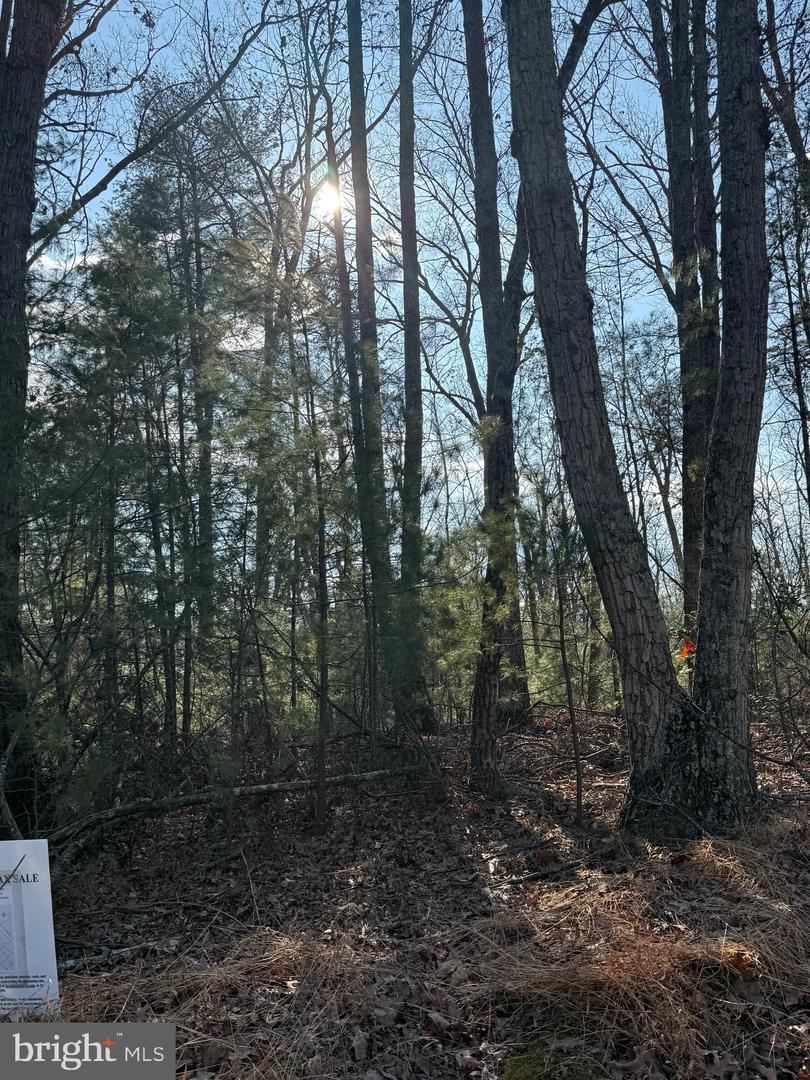 ARROWHEAD RD, FRONT ROYAL, Virginia 22630, ,Land,For sale,ARROWHEAD RD,VAWR2013008 MLS # VAWR2013008