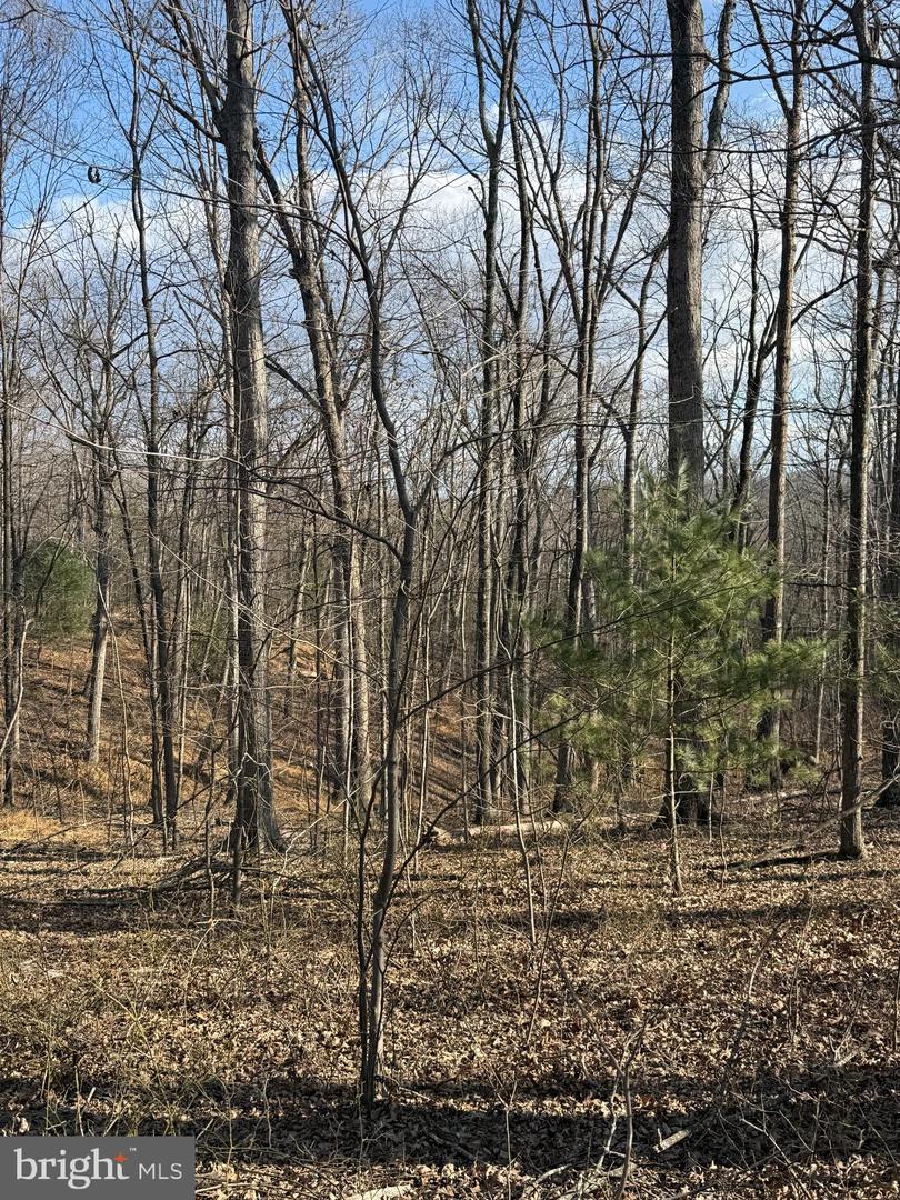 ARROWHEAD RD, FRONT ROYAL, Virginia 22630, ,Land,For sale,ARROWHEAD RD,VAWR2013008 MLS # VAWR2013008