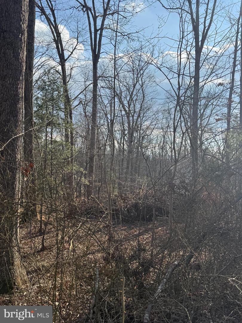 ARROWHEAD RD, FRONT ROYAL, Virginia 22630, ,Land,For sale,ARROWHEAD RD,VAWR2013008 MLS # VAWR2013008