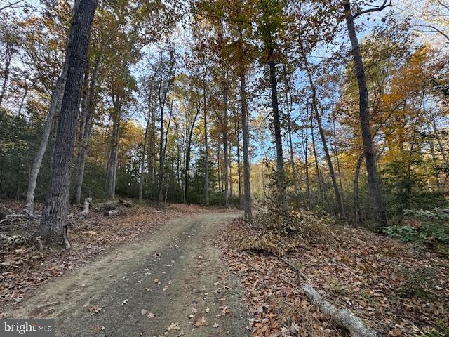 31078 OLD OFFICE RD LOT 1, LOCUST GROVE, Virginia 22508, ,Land,For sale,31078 OLD OFFICE RD LOT 1,VAOR2013022 MLS # VAOR2013022