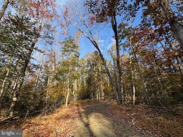 31078 OLD OFFICE RD LOT 1, LOCUST GROVE, Virginia 22508, ,Land,For sale,31078 OLD OFFICE RD LOT 1,VAOR2013022 MLS # VAOR2013022