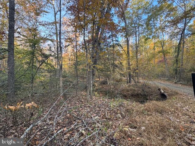 31078 OLD OFFICE RD LOT 1, LOCUST GROVE, Virginia 22508, ,Land,For sale,31078 OLD OFFICE RD LOT 1,VAOR2013022 MLS # VAOR2013022