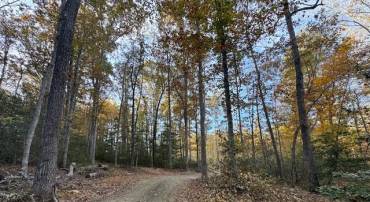 31078 OLD OFFICE RD LOT 1, LOCUST GROVE, Virginia 22508, ,Land,For sale,31078 OLD OFFICE RD LOT 1,VAOR2013022 MLS # VAOR2013022
